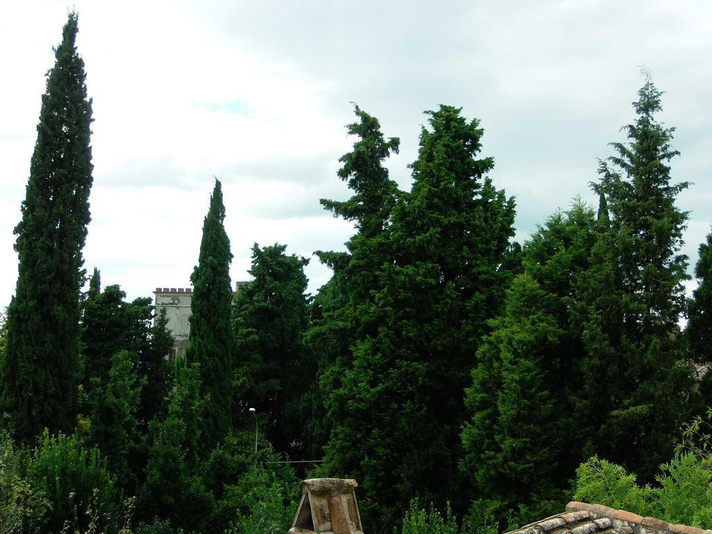 La Casetta Penna in Teverina Εξωτερικό φωτογραφία